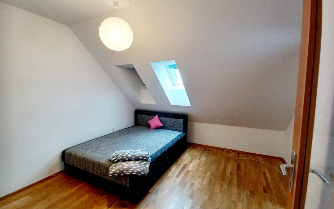 TOLLE SINGLEWOHNUNG NAHE BAD WALTERSDORF