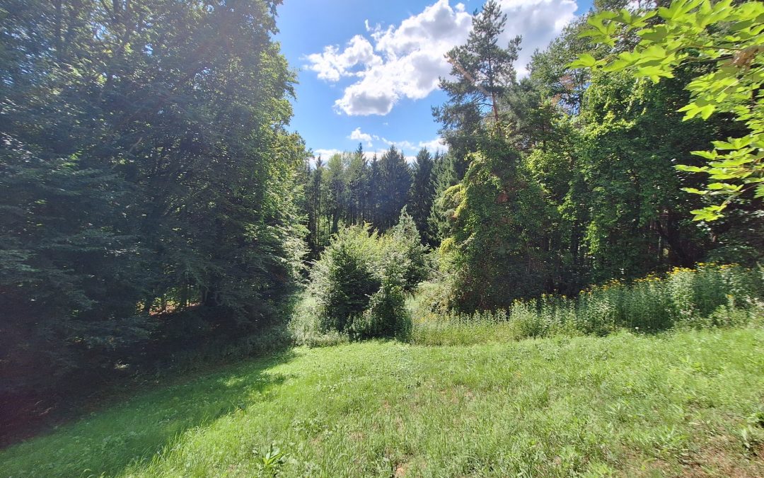 LANDWIRTSCHAFTLICHES GRUNDSTÜCK MIT WALDFLÄCHE IN SINABELKIRCHEN
