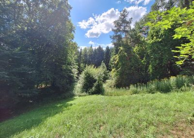 LANDWIRTSCHAFTLICHES GRUNDSTÜCK MIT WALDFLÄCHE IN SINABELKIRCHEN